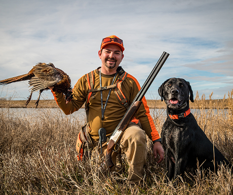 bird-dog-articles-bird-dog-media