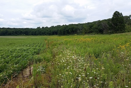 Policy Update: House Ag Committee Advances 2026 Farm Bill Proposal