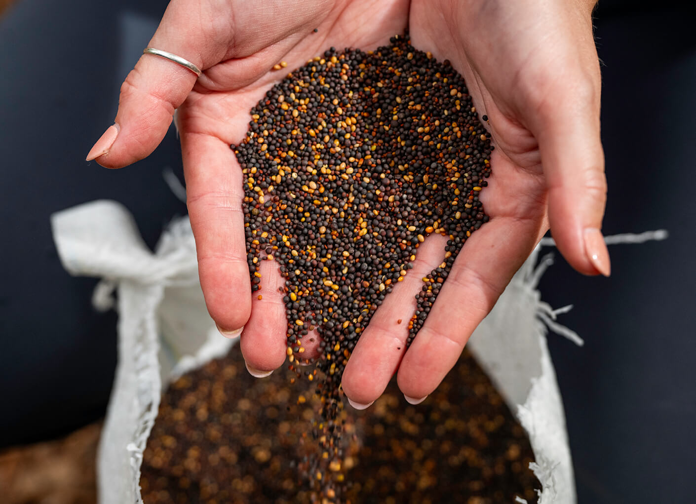 habitat-conservation-seed-program-stacked-content-item.jpg