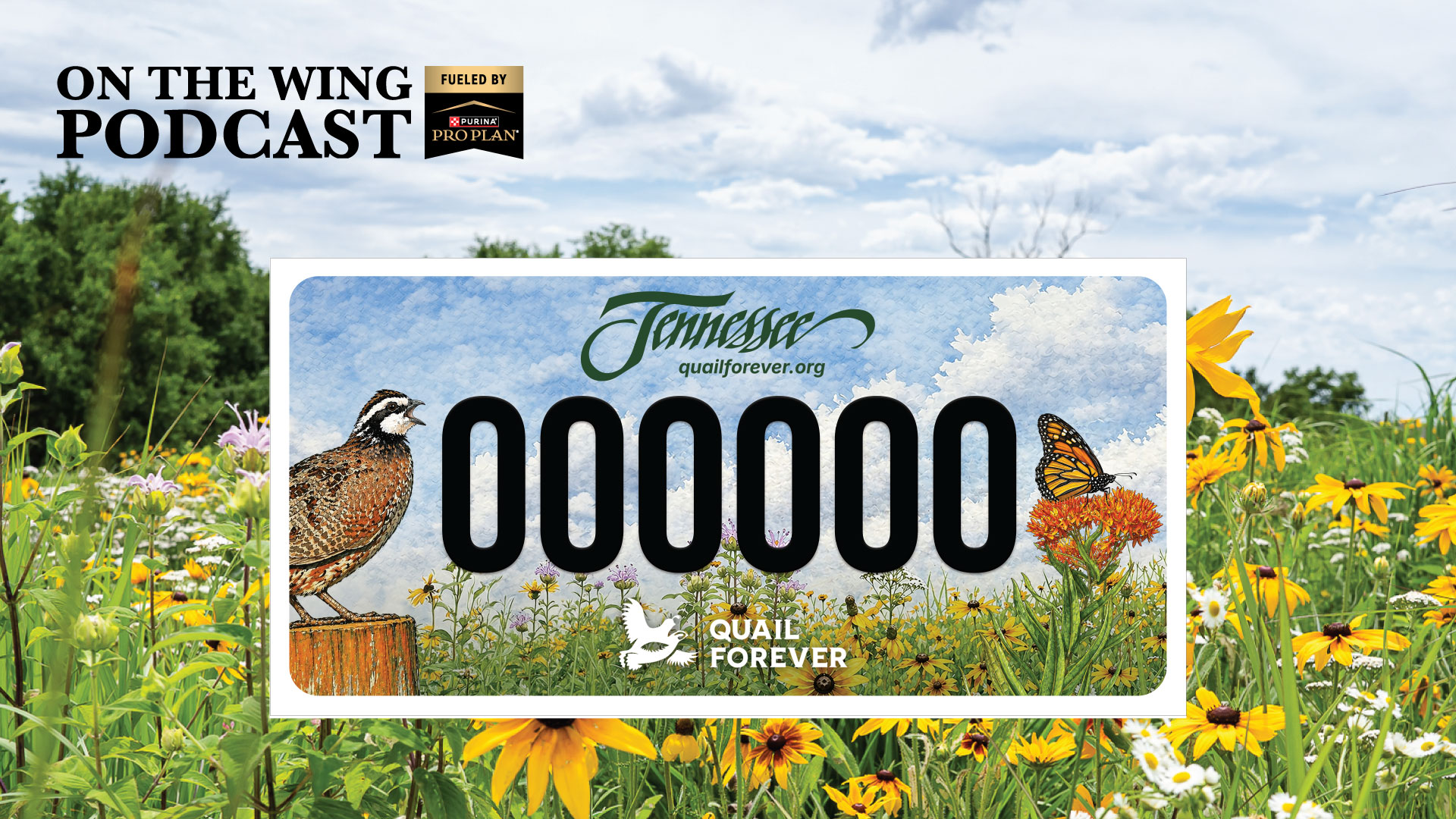 PODCAST EP. 375: Conservation Scorecard: State Advocacy for Habitat, Hunting, and Public Lands