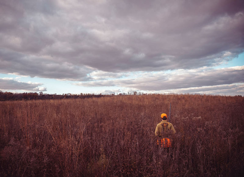 collaborations-for-conservation-content.jpg
