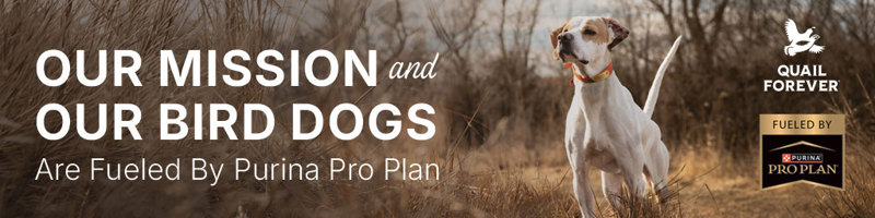 QF_PurinaBirdDog_Banner_1024x256_2026.jpg