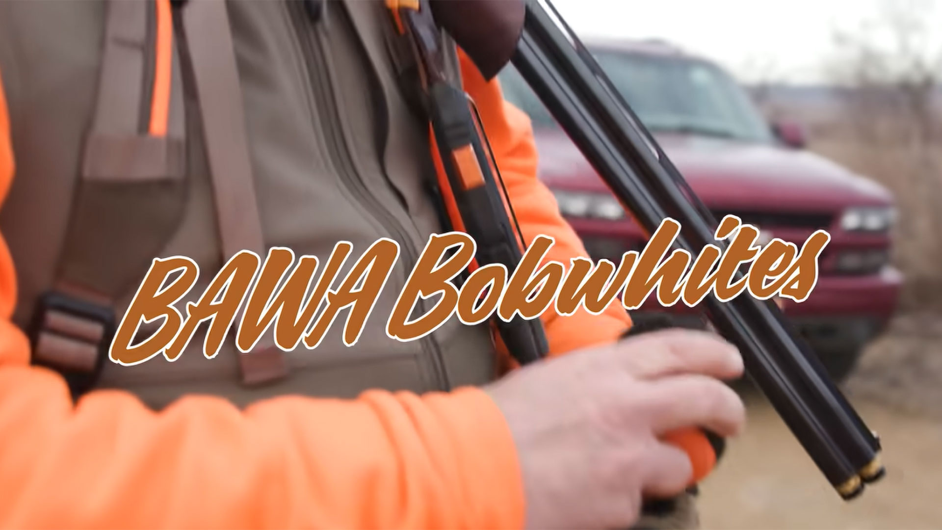 Rooster Road Trip XVI Ep. 2 BAWA Bobwhites