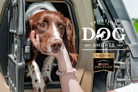 Sporting Dog Shorts - Crate Training Tips