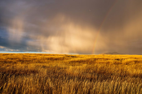 Montana Weather Report