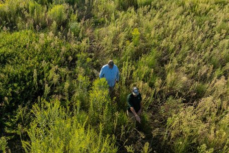 Farm Bill 2.0: A Closer Look at the Senate Discussion Draft