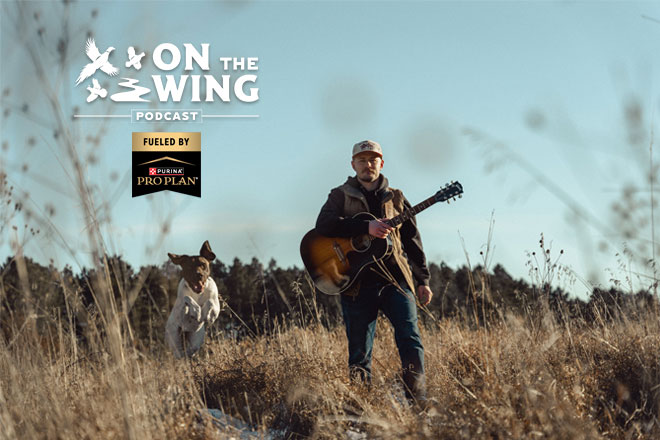 PODCAST EP. 317: Ballad of the Bird Dog